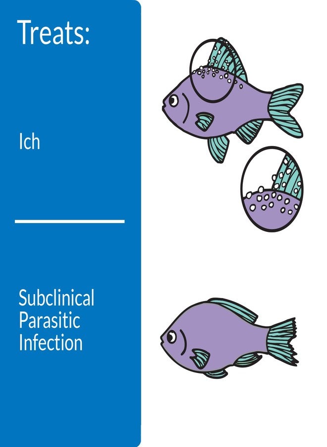 API LIQUID SUPER ICK CURE Fish remedy, Freshwater and Saltwater Fish Medication 4 fl oz(Pack of 1), White - Image 2